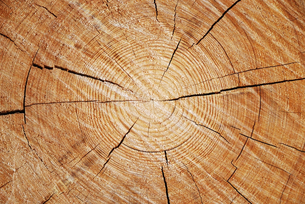 heavy timbers