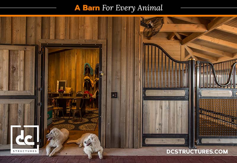 barn door animal ideas