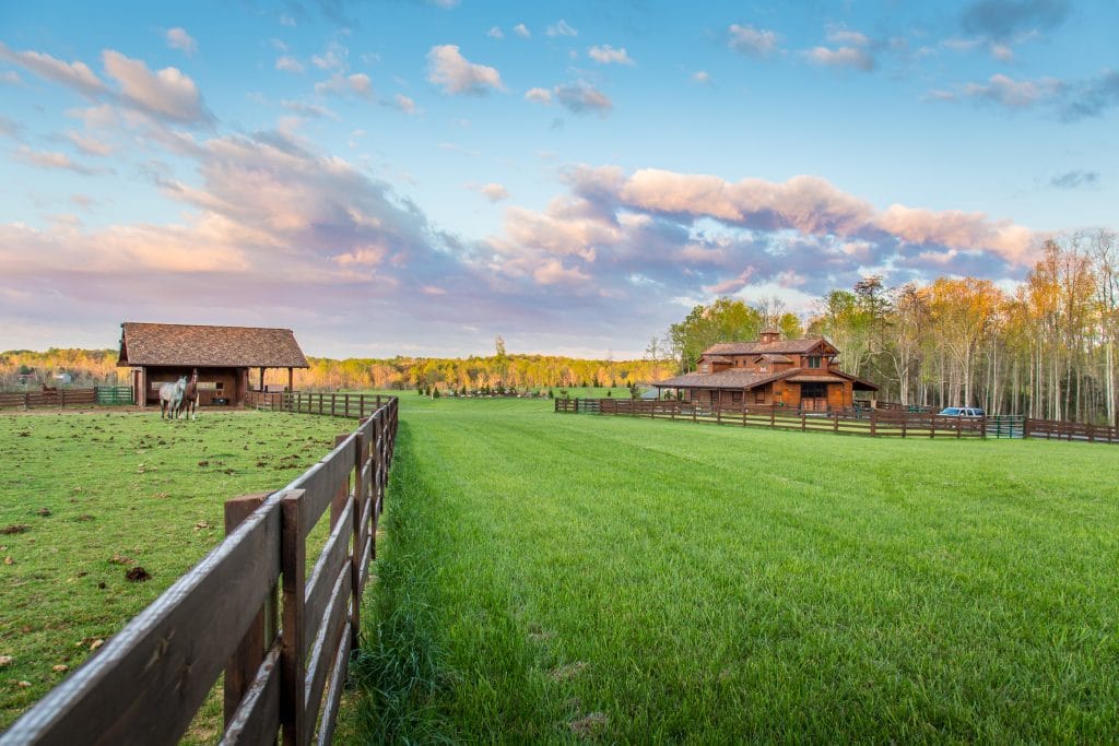 How Much Does It Cost To Care For A Horse Per Year at Shaw blog