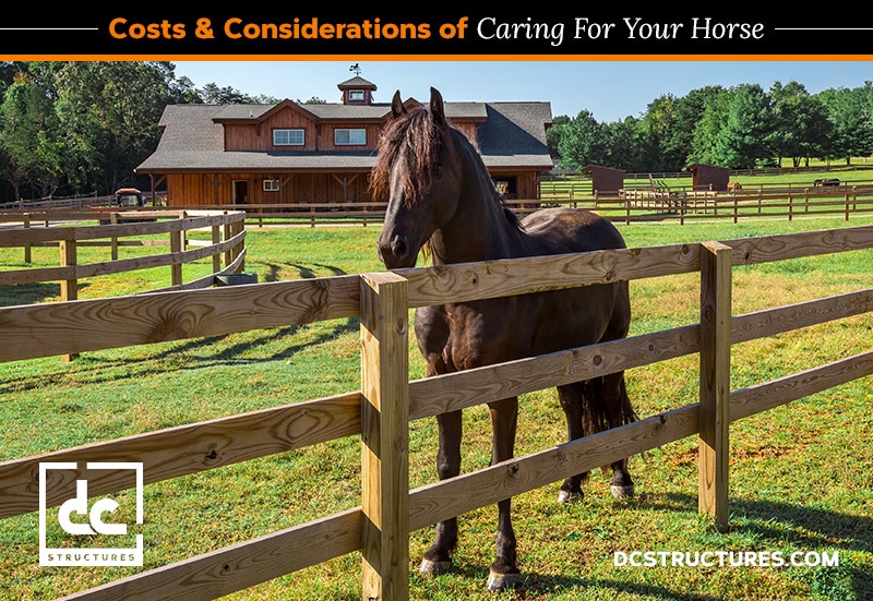 A brown horse stands in a fenced grassy area in front of a wooden barn surrounded by trees. The barn has a cupola on the roof. The image promotes horse care costs and considerations. Logo: DC Structures. Website: DCSTRUCTURES.COM.