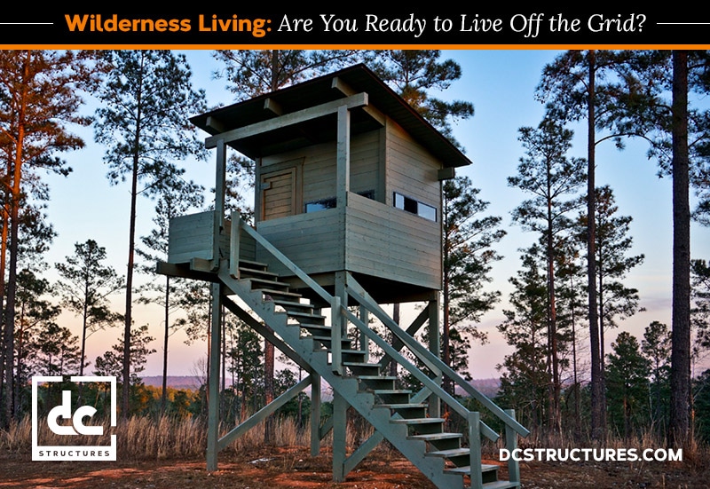 Wilderness Living: Are You Ready to Live in the Woods?