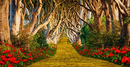 A vibrant scene with a yellow brick path winding through a dense canopy of intertwining trees. Flanked by lush greenery and clusters of bright red flowers, it's reminiscent of an enchanting trail leading to secluded apartment barn kits, adding to the magical, almost otherworldly ambiance.