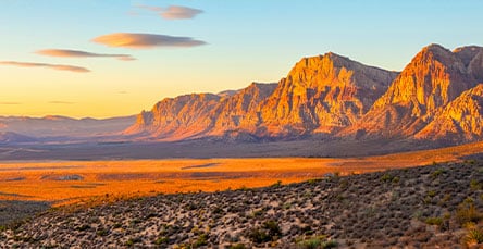 A vast desert landscape is shown at sunset, with towering rock formations bathed in golden light. The sky is predominantly clear with a few scattered, wispy clouds. In the foreground, short desert vegetation sparsely covers the ground, much like sparsely placed apartment barn kits in an open field.