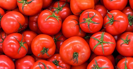 A close-up of a large pile of ripe, red tomatoes with green stems still attached, reminiscent of a harvest from apartment barn kits. The tomatoes are smooth and appear fresh, filling the entire frame.