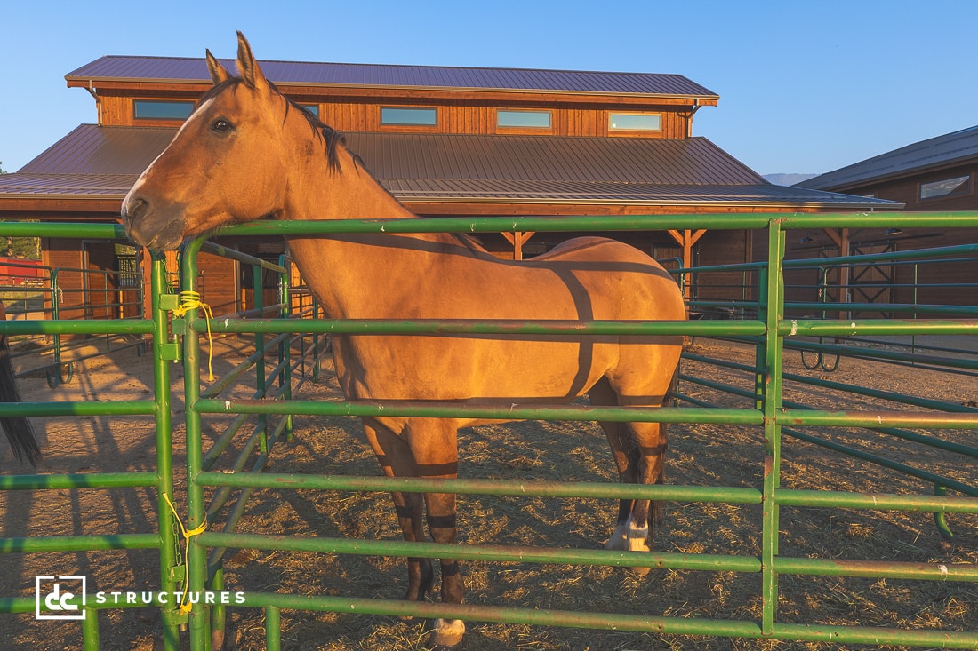 Buena Vista Horse Barn