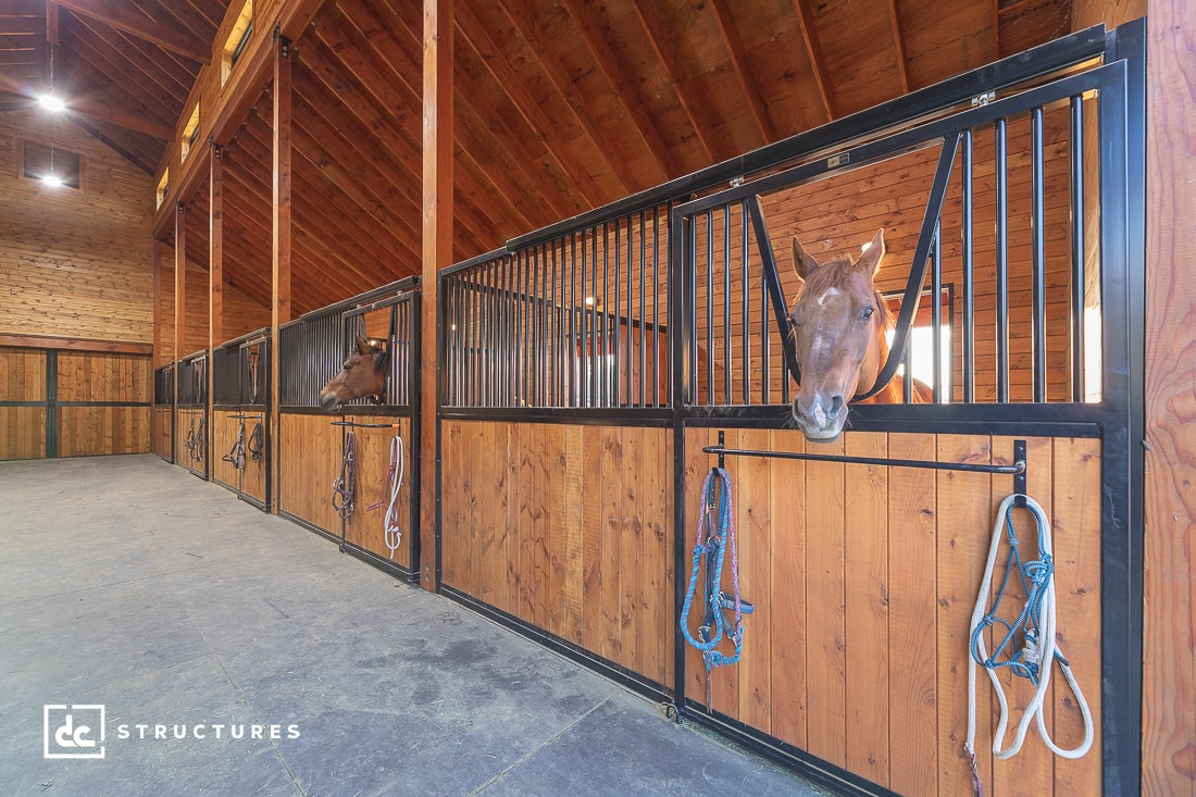 Buena Vista Horse Barn